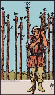 Nine of Wands tarot card
